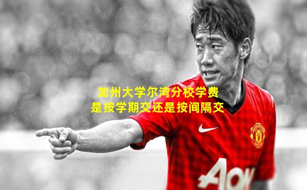 加州大学尔湾分校学费是按学期交还是按间隔交