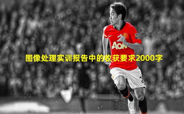 图像处理实训报告中的收获要求2000字