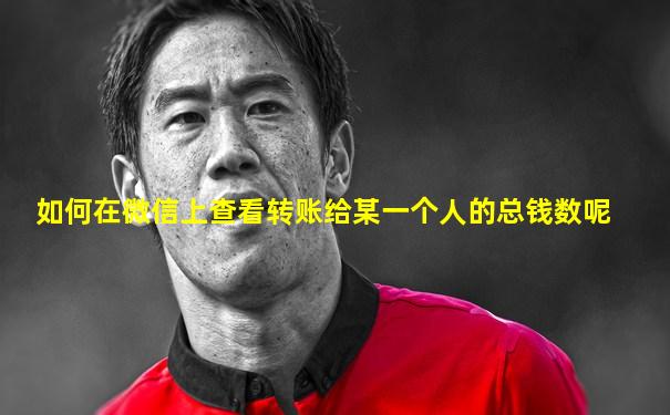 如何在微信上查看转账给某一个人的总钱数呢