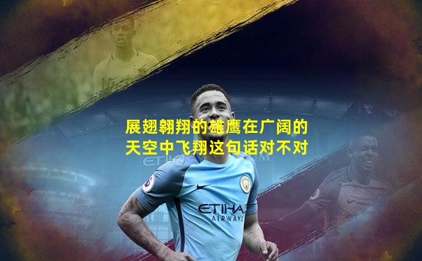 展翅翱翔的雄鹰在广阔的天空中飞翔这句话对不对