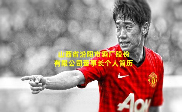 山西省汾阳市酒厂股份有限公司董事长个人简历