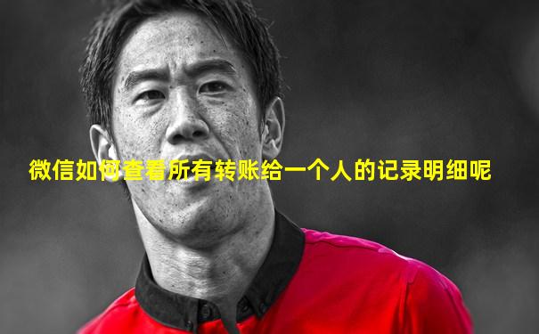 微信如何查看所有转账给一个人的记录明细呢