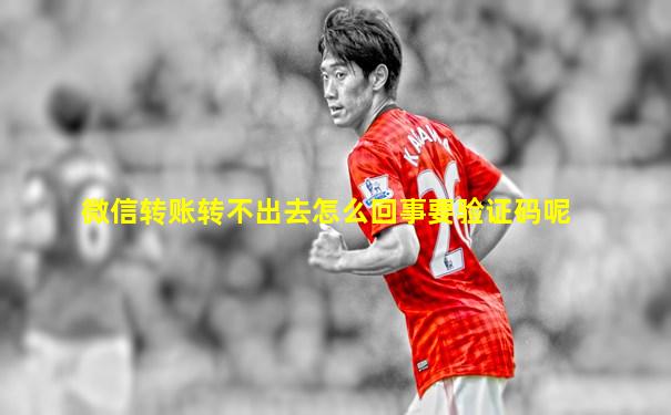 微信转账转不出去怎么回事要验证码呢