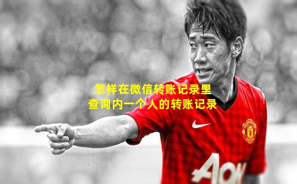 怎样在微信转账记录里查询内一个人的转账记录