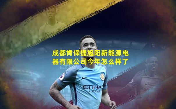 成都肯保捷旭阳新能源电器有限公司今年怎么样了