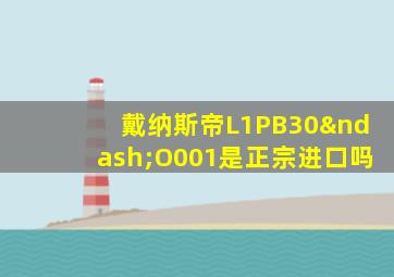 戴纳斯帝L1PB30–O001是正宗进口吗