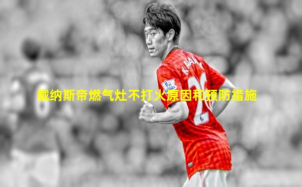 戴纳斯帝燃气灶不打火原因和预防措施