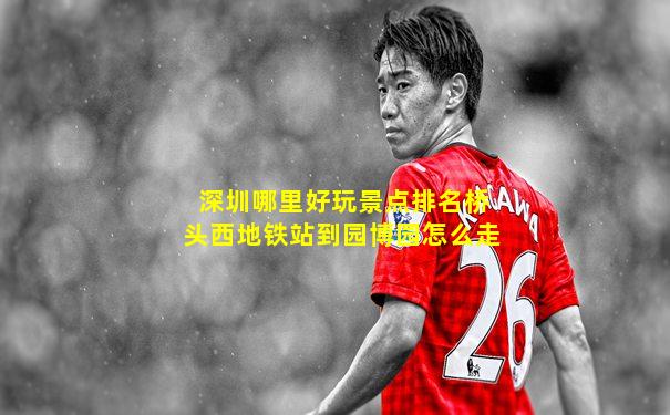 深圳哪里好玩景点排名桥头西地铁站到园博园怎么走