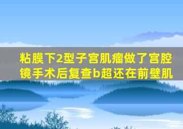 粘膜下2型子宫肌瘤做了宫腔镜手术后复查b超还在前壁肌
