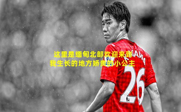 这里是缅甸北部欢迎来到我生长的地方娇贵的小公主