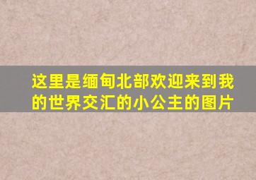 这里是缅甸北部欢迎来到我的世界交汇的小公主的图片