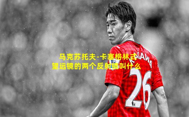 马克苏托夫-卡塞格林式望远镜的两个反射镜叫什么