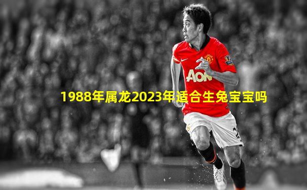 1988年属龙2023年适合生兔宝宝吗