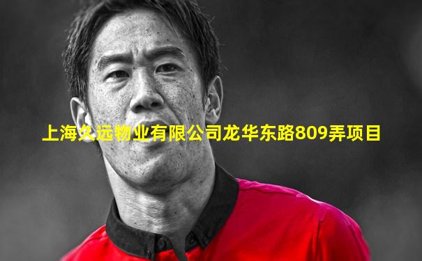 上海久远物业有限公司龙华东路809弄项目