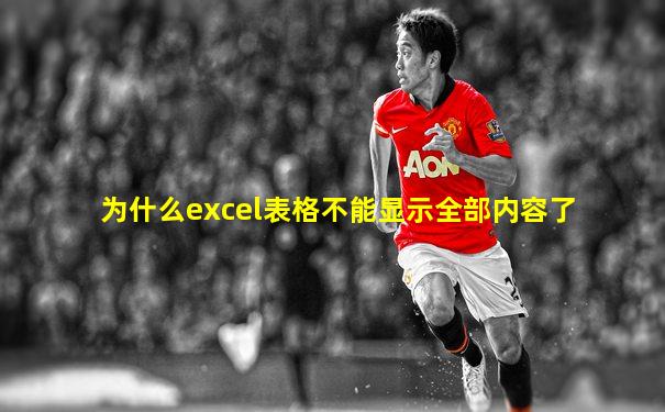 为什么excel表格不能显示全部内容了
