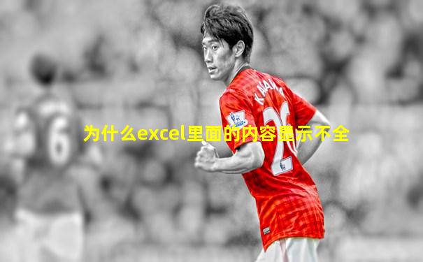 为什么excel里面的内容显示不全