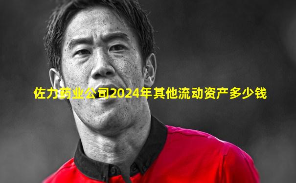 佐力药业公司2024年其他流动资产多少钱