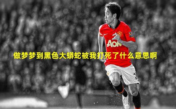 做梦梦到黑色大蟒蛇被我打死了什么意思啊