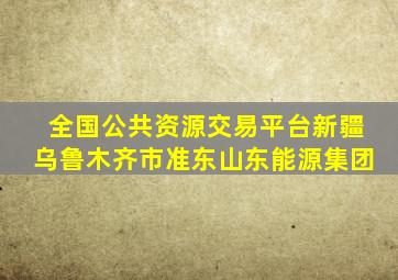 全国公共资源交易平台新疆乌鲁木齐市准东山东能源集团
