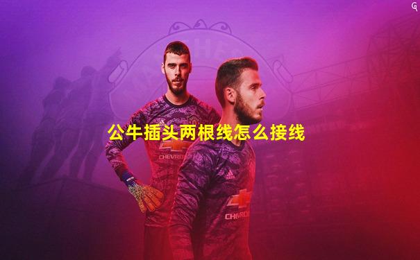 公牛插头两根线怎么接线