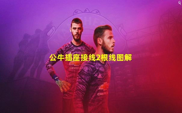 公牛插座接线2根线图解