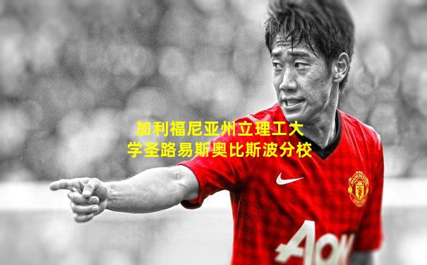 加利福尼亚州立理工大学圣路易斯奥比斯波分校