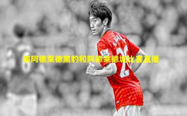 南阿德莱德黑豹和阿德莱德城比赛直播