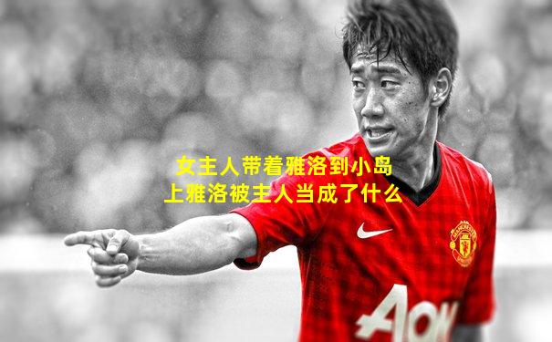 女主人带着雅洛到小岛上雅洛被主人当成了什么