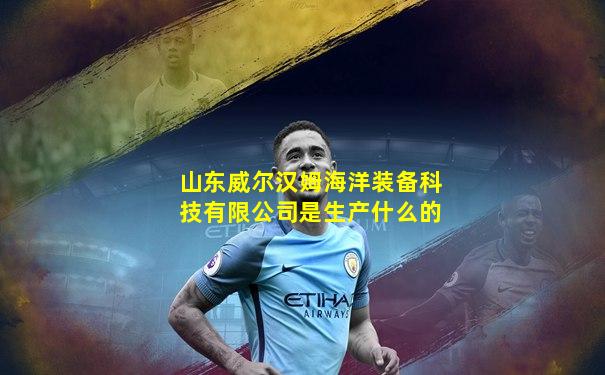 山东威尔汉姆海洋装备科技有限公司是生产什么的
