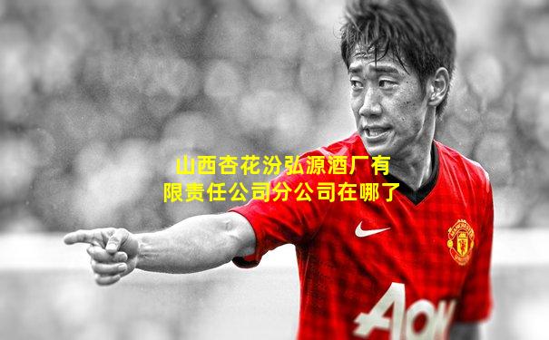 山西杏花汾弘源酒厂有限责任公司分公司在哪了