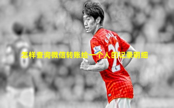 怎样查询微信转账给一个人的记录明细