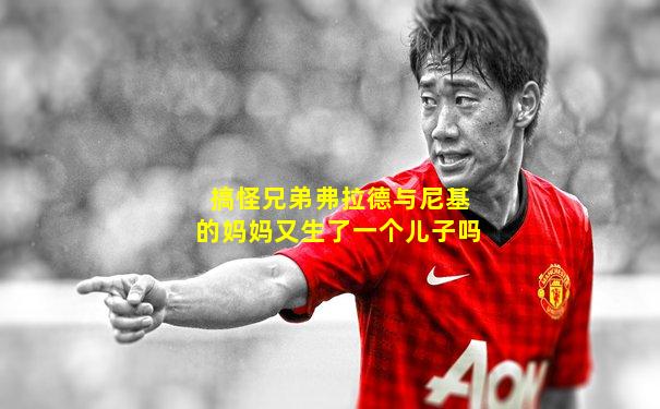 搞怪兄弟弗拉德与尼基的妈妈又生了一个儿子吗