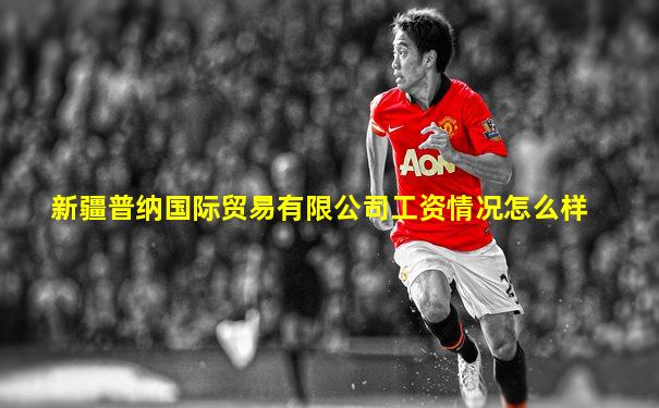 新疆普纳国际贸易有限公司工资情况怎么样