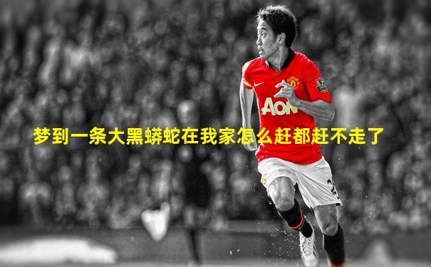梦到一条大黑蟒蛇在我家怎么赶都赶不走了