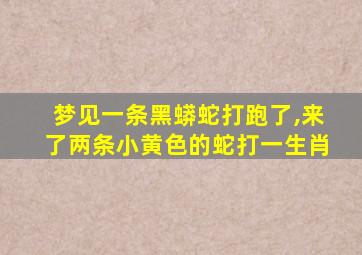 梦见一条黑蟒蛇打跑了,来了两条小黄色的蛇打一生肖