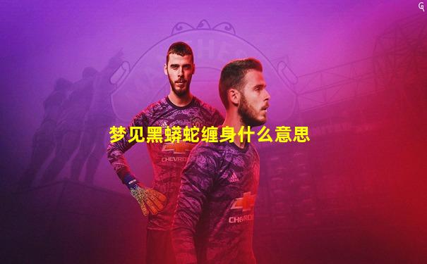 梦见黑蟒蛇缠身什么意思