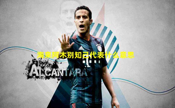 海来阿木别知己代表什么意思