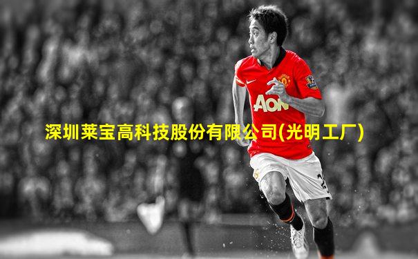 深圳莱宝高科技股份有限公司(光明工厂)