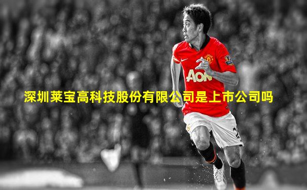 深圳莱宝高科技股份有限公司是上市公司吗