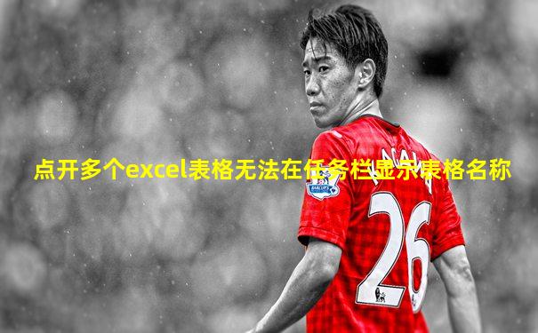 点开多个excel表格无法在任务栏显示表格名称