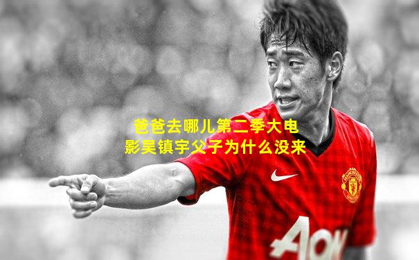 爸爸去哪儿第二季大电影吴镇宇父子为什么没来