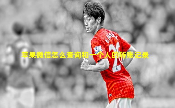 苹果微信怎么查询和一个人的转账记录