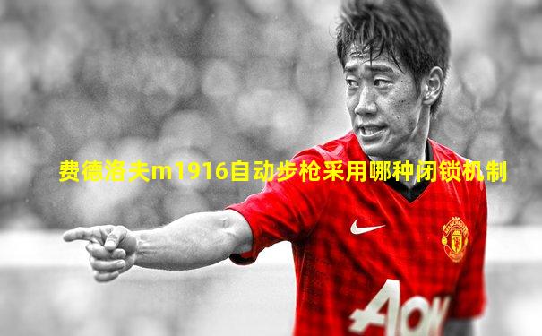 费德洛夫m1916自动步枪采用哪种闭锁机制