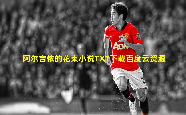 阿尔吉侬的花束小说TXT下载百度云资源