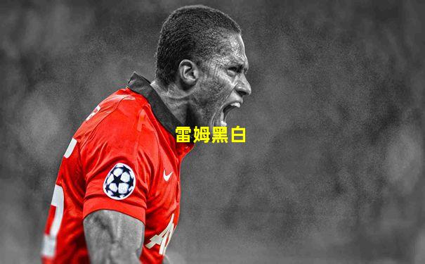 雷姆黑白