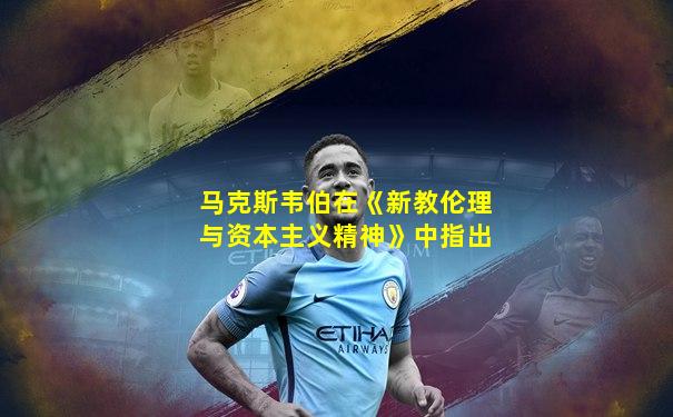 马克斯韦伯在《新教伦理与资本主义精神》中指出