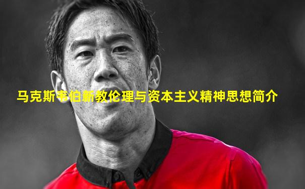 马克斯韦伯新教伦理与资本主义精神思想简介