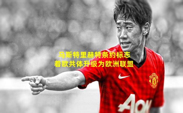 马斯特里赫特条约标志着欧共体升级为欧洲联盟